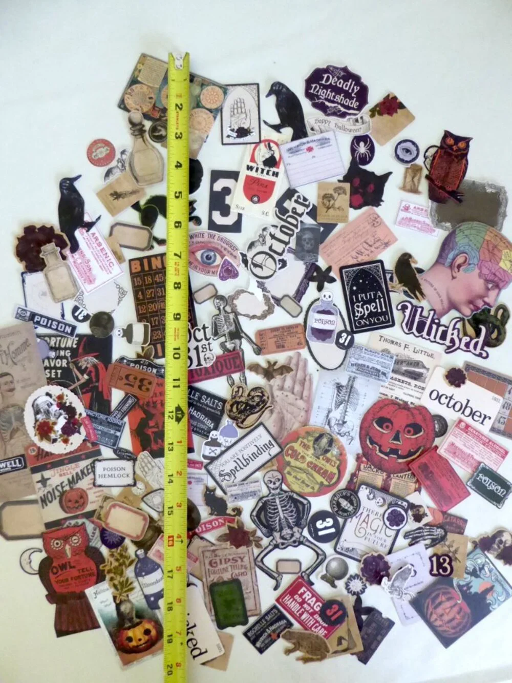 Tim Holtz new never